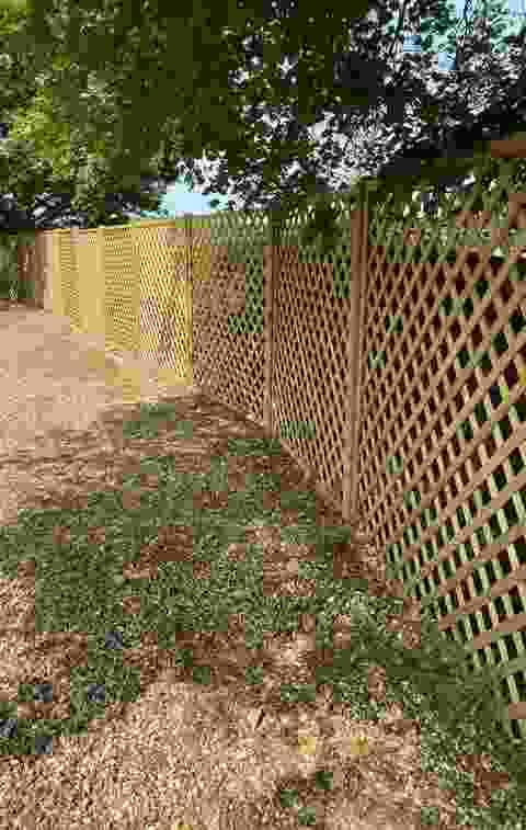 Criss Cross Garden Fence